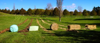 round bale feeder IMG_1320_edit-350x151