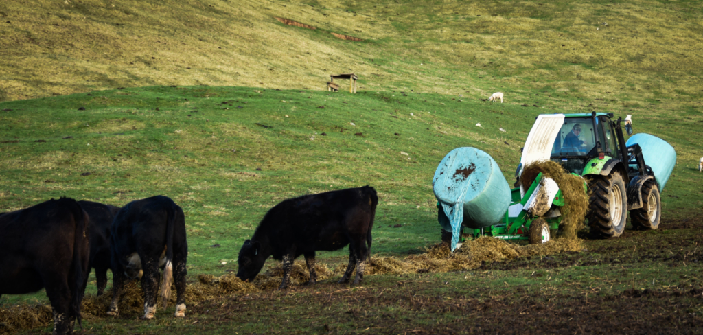 TX205 Trailed Bale feeder Chainless