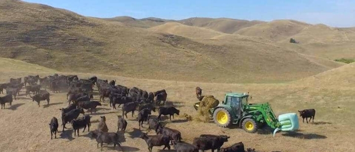 Alimentacion en colinas con Hustler Equipment