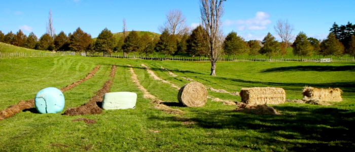 Feeds out any bale