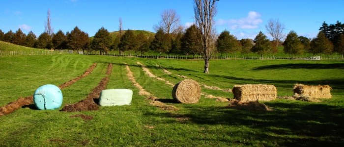 Hustler Bale Feeders can feed round or square bales