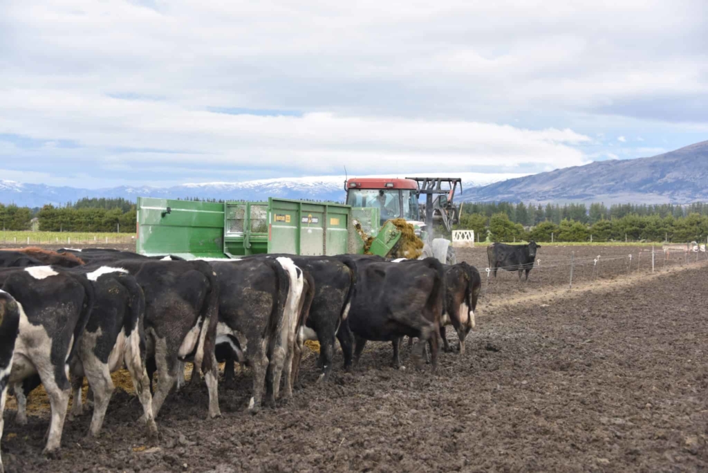 Combi Feeders easy to use