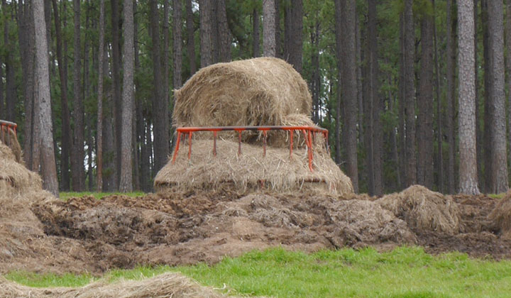 Pin By Mandy Young On Barn Cattle Feeder Livestock Shelter Goat Barn