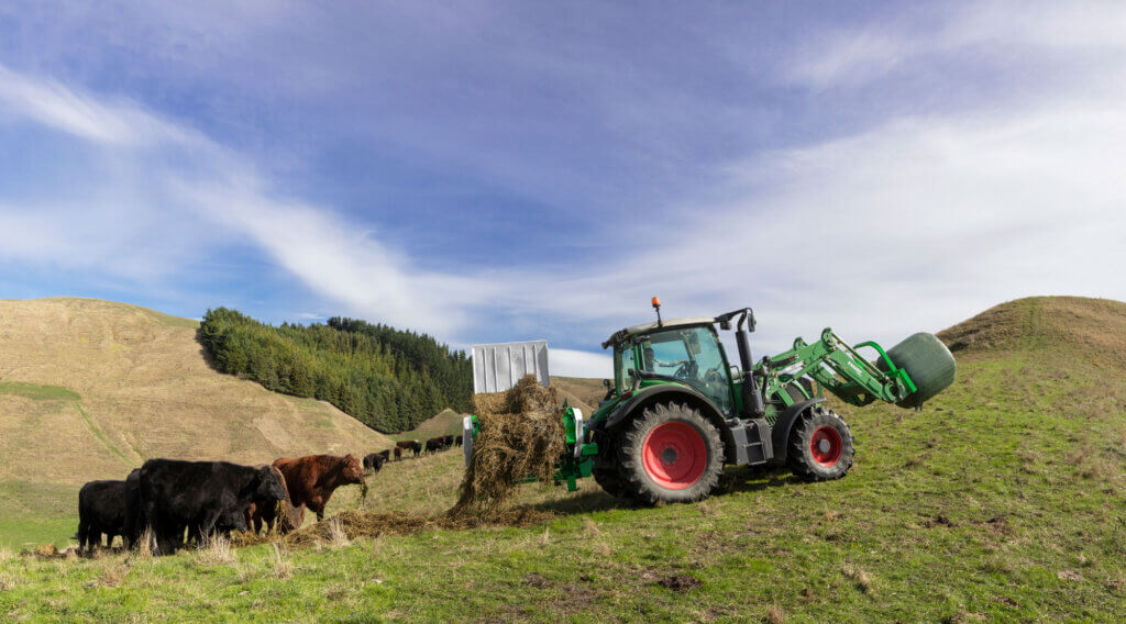 Hustler Chainless LX104 feeding bale to cattle