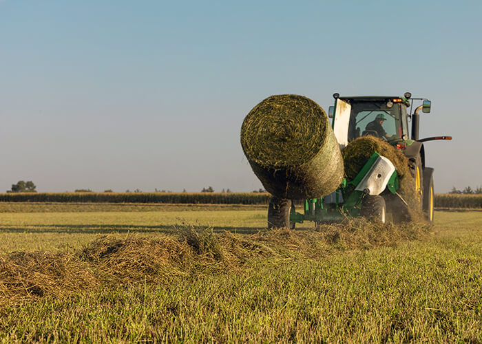 TH205 unrolling hay in the field 700x500