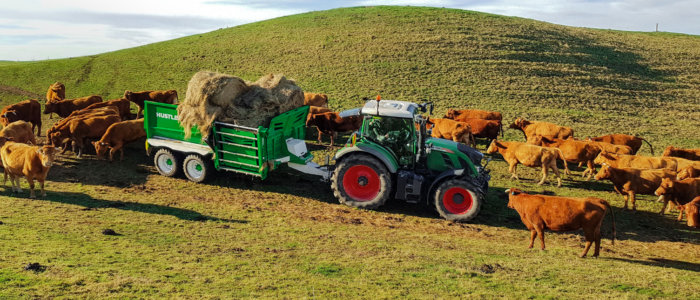 Combi RX Feeding Bales LR