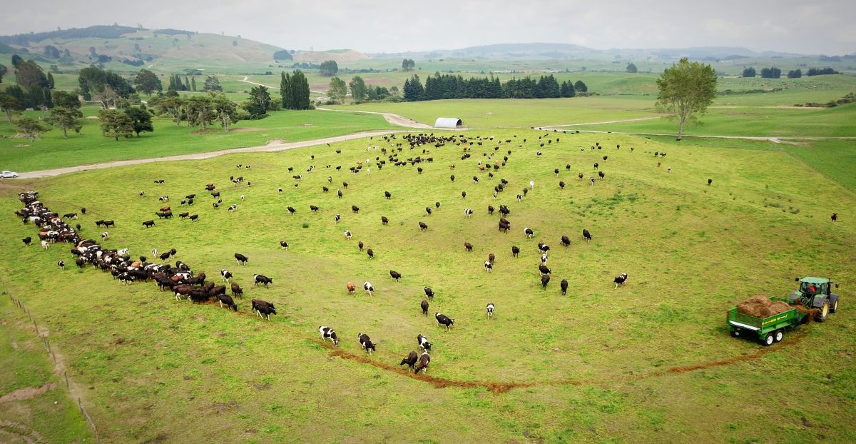 DJI_0305-997266-edited.jpg