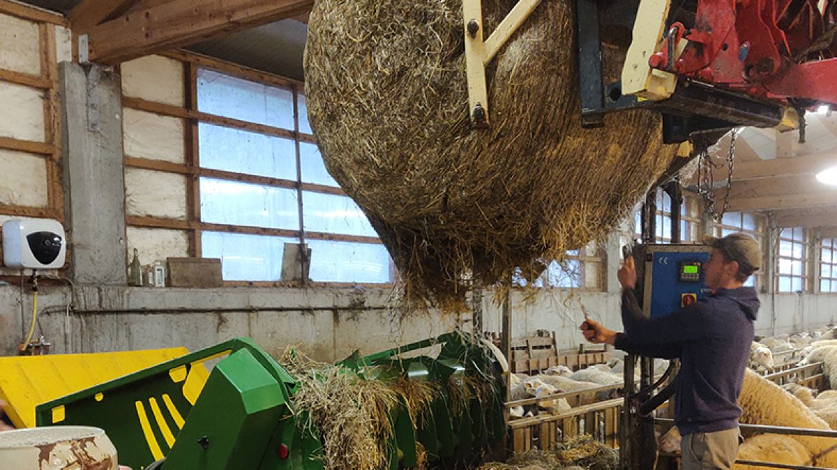 david-barban-hustler-derouleuse-sans-chaine-moutons-bergerie (2)