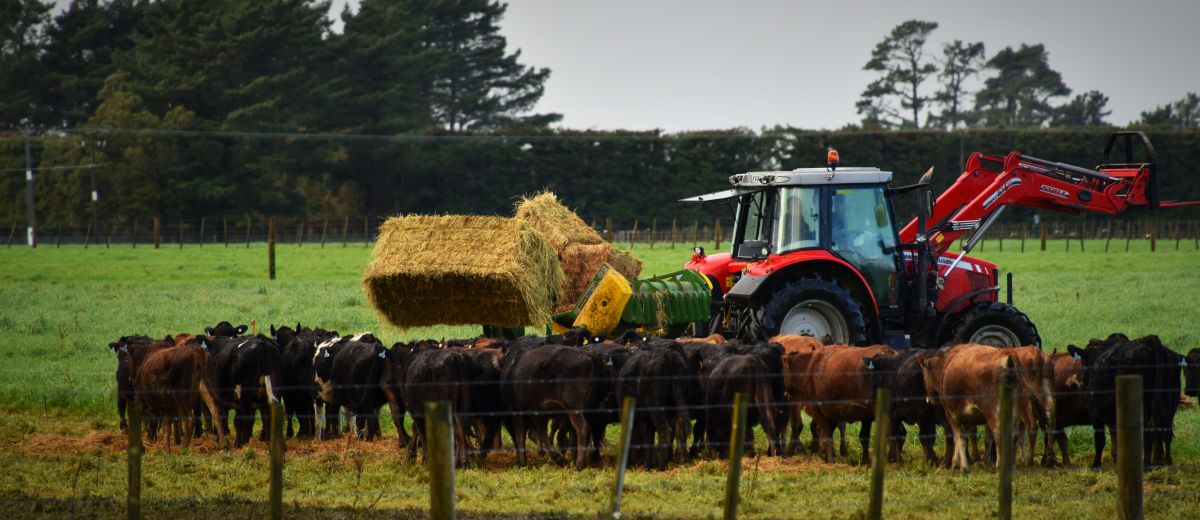 round-and-square-bale-feeder.jpg