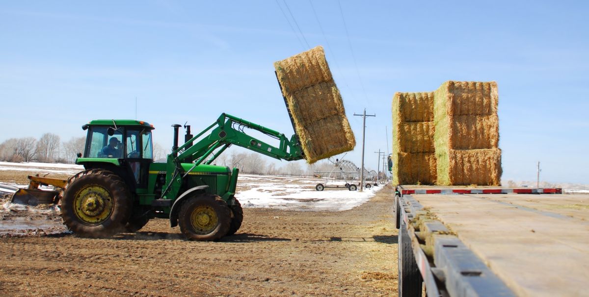 square bales-351873-edited.jpg