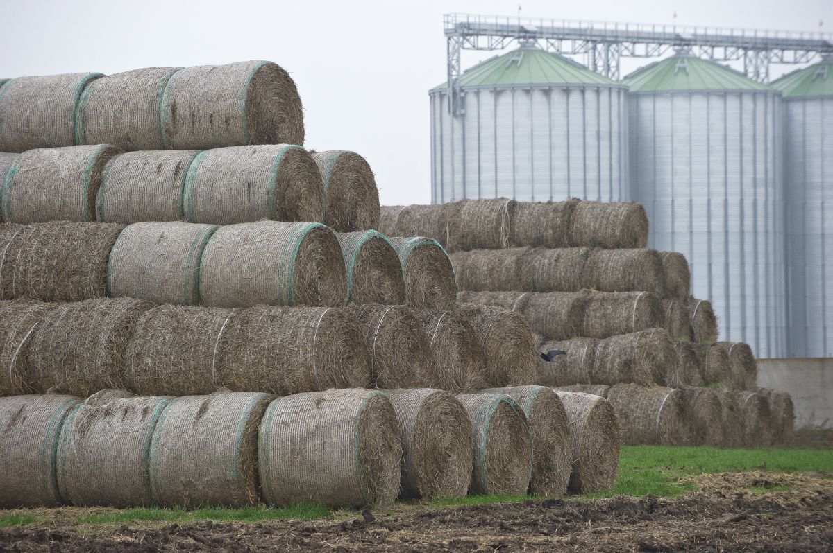stacked dry hay bales.jpg