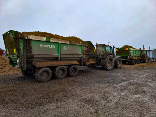 Ezfeed SX210 5