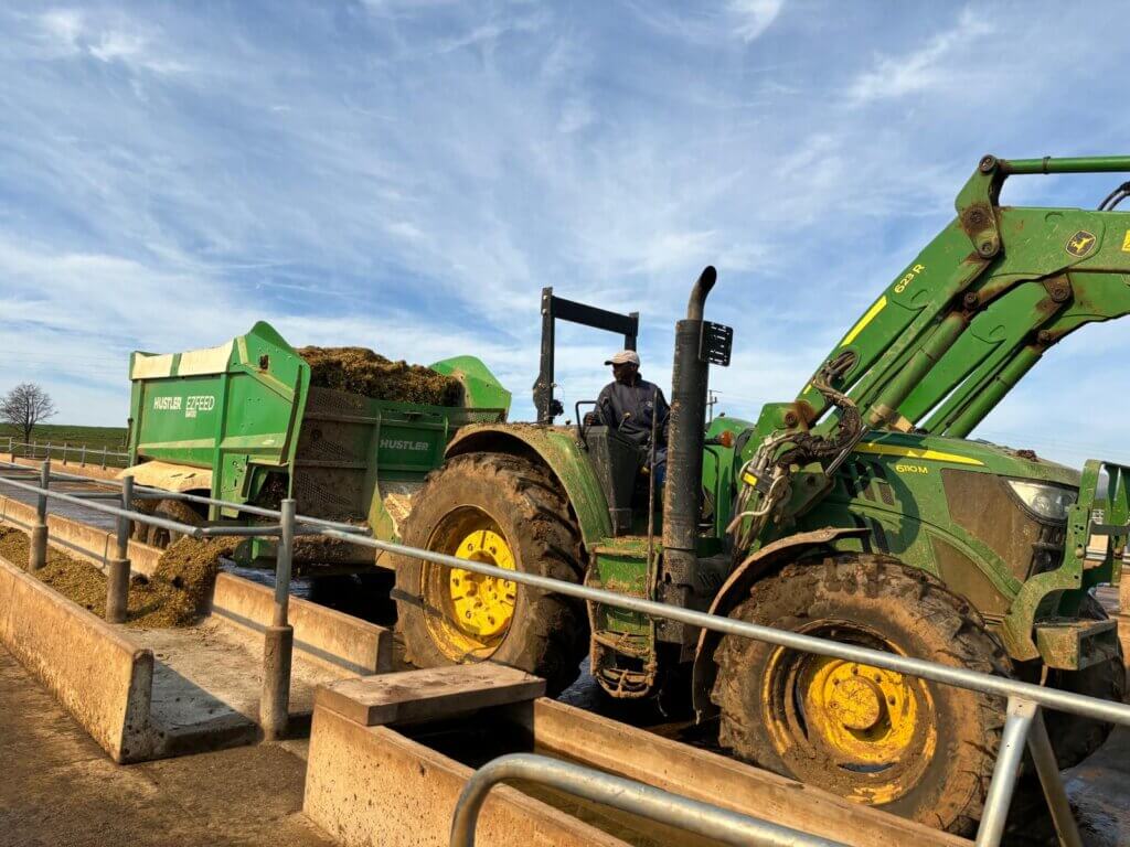 Hustler silage wagon in south africa trough feeding