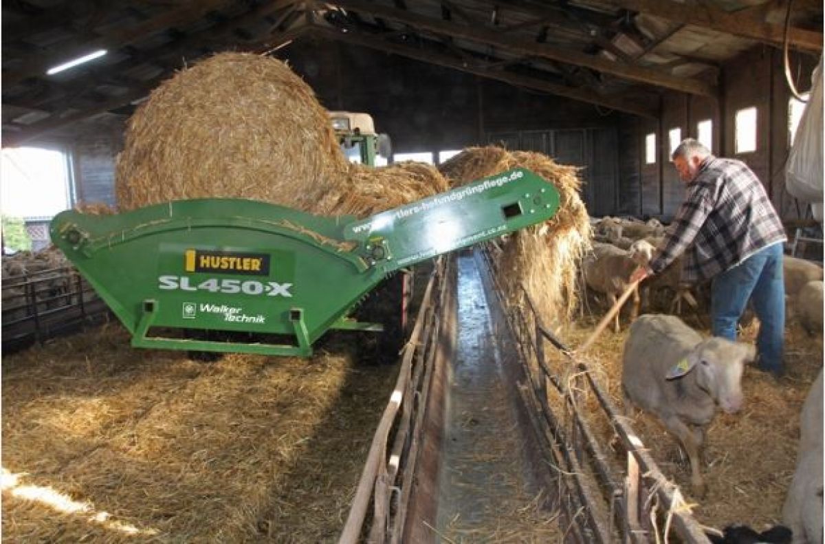 german sheep farmer