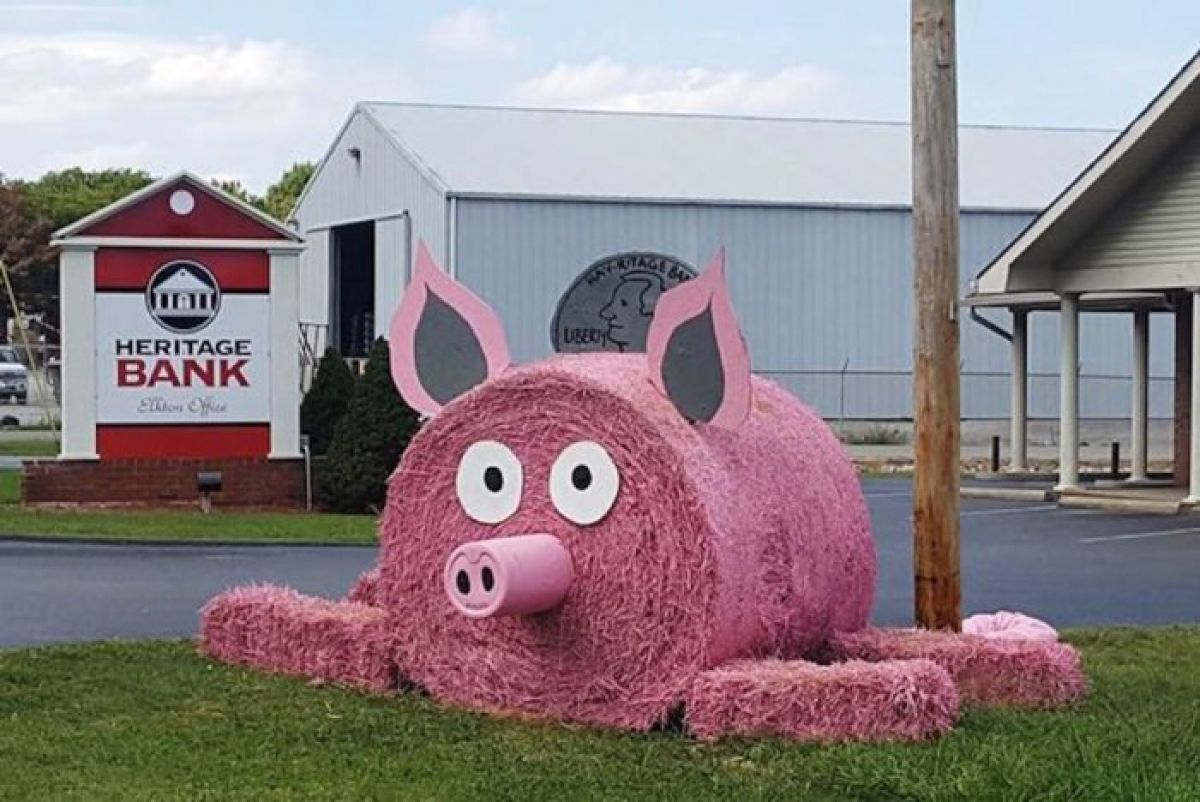 hay-piggy-bank-fan-favorite-1-700x468.jpg