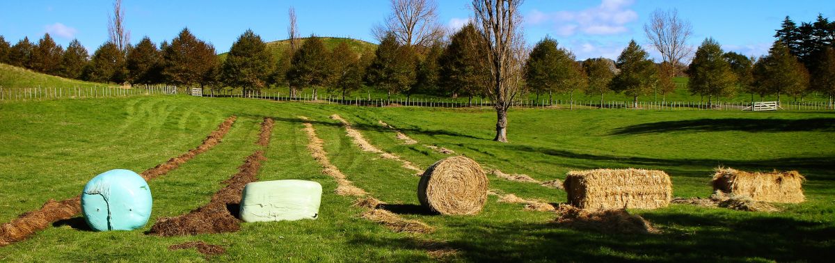 Chainless feeds every bale.jpg