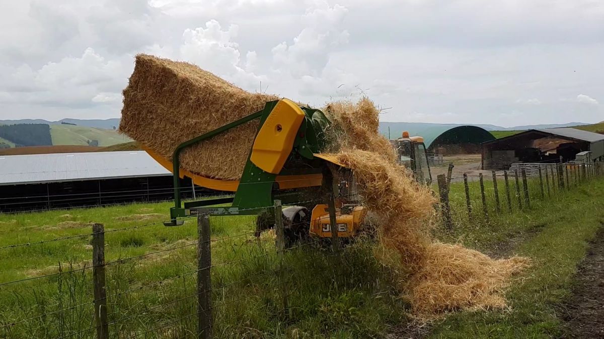 Feeding square bales over a fence.jpg